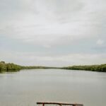 a wooden bench sitting on top of a lush green field